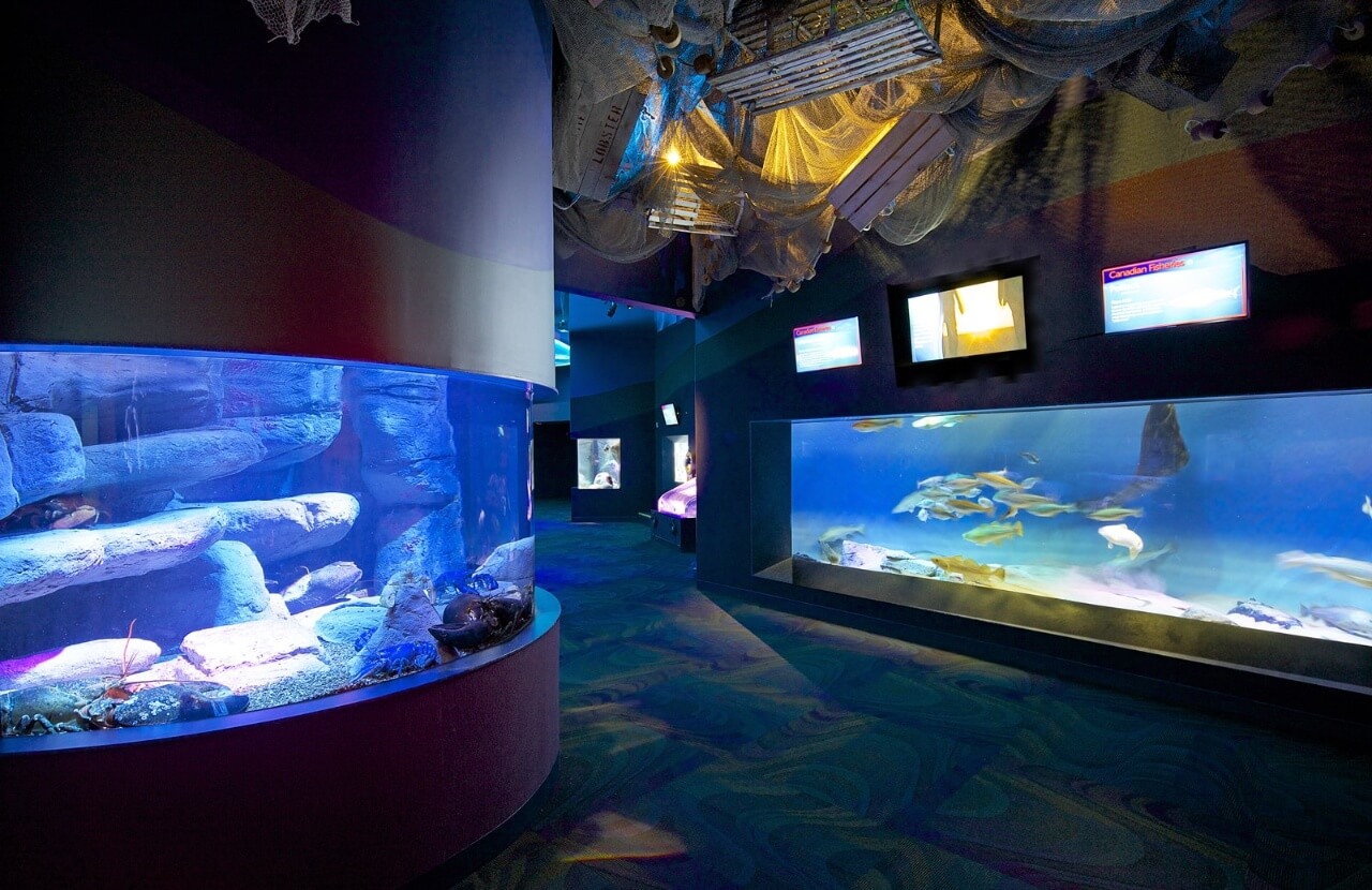 Ripley's Aquarium of Canada